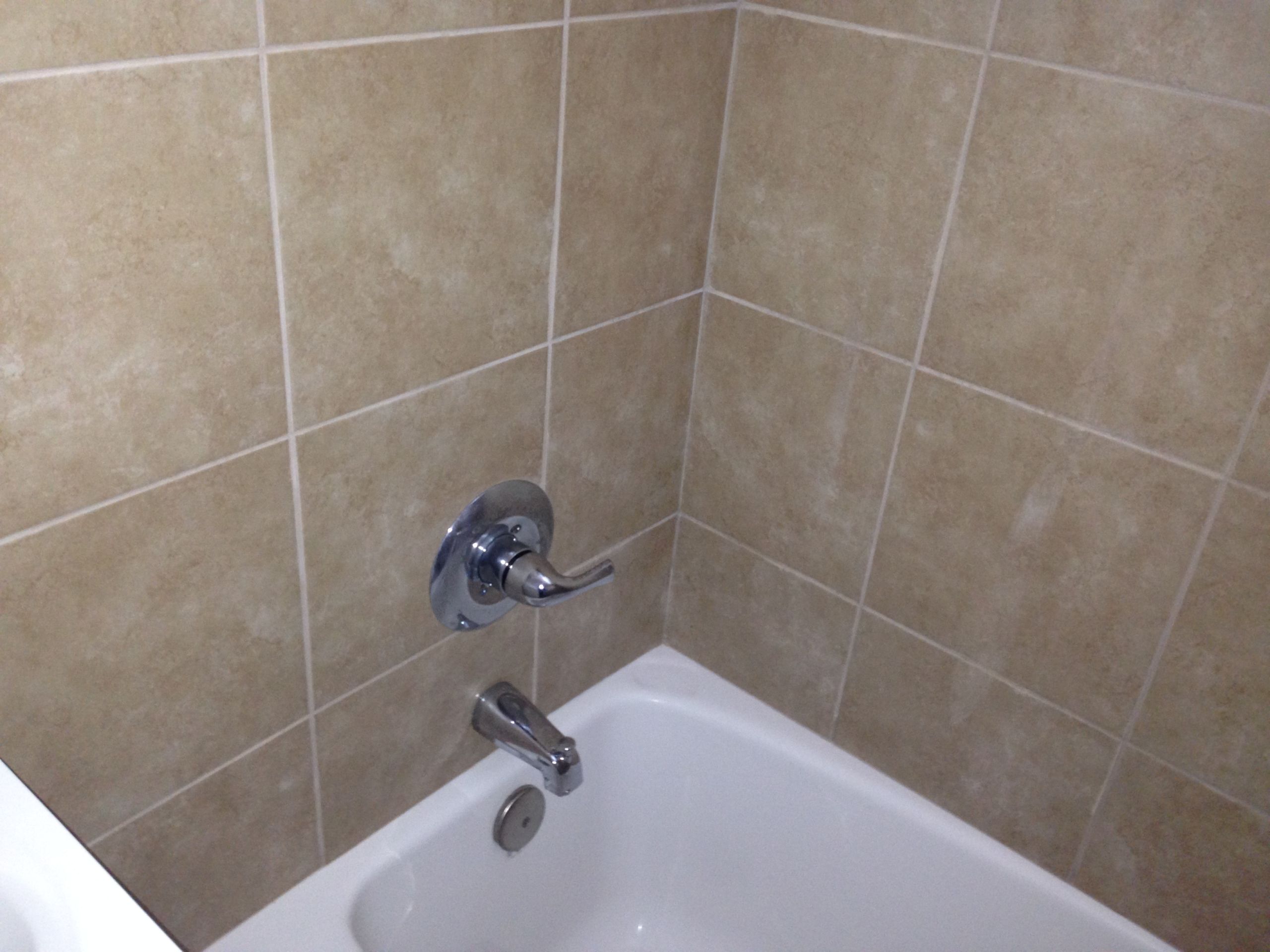 Forest Park Apartments photo 13